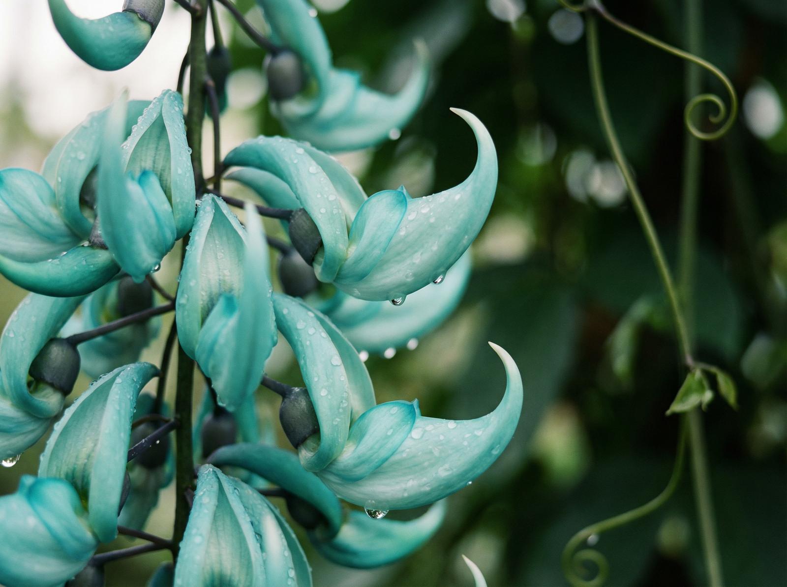 媚黑建刚与远方视频